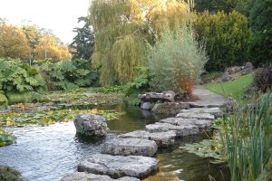 Stepping Stones - a support group to help cancer patients maintain health and wellbeing